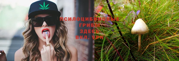 МДПВ Пролетарск